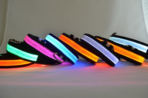 LED Light-Up Dog Collar - Image 3