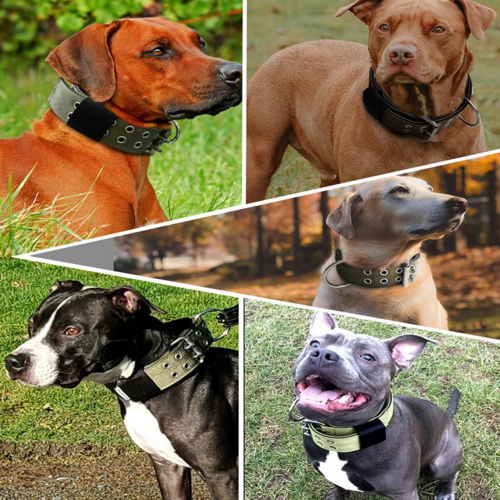 2" Wide Tactical Heavy Duty Nylon Large Dog Collar K9 Military With - Image 12