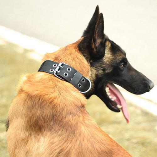 2" Wide Tactical Heavy Duty Nylon Large Dog Collar K9 Military With - Image 17