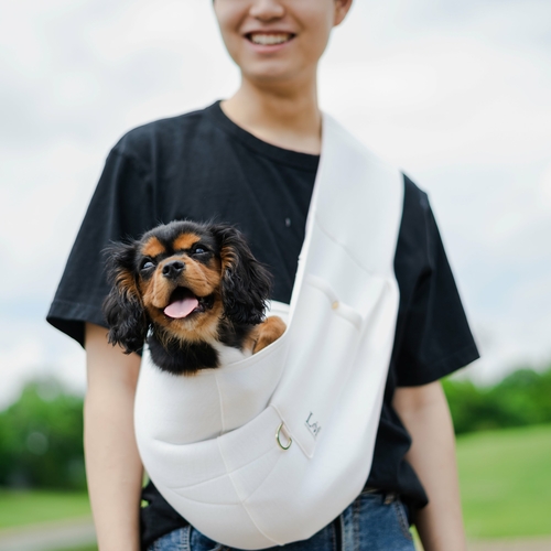 Neoprene Pet Sling Carrier for Small Dogs - Image 8