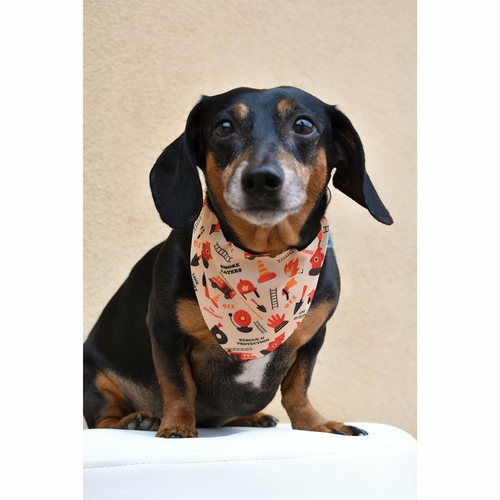 Dog Bandana
