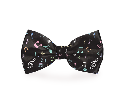 Dog Bow Tie