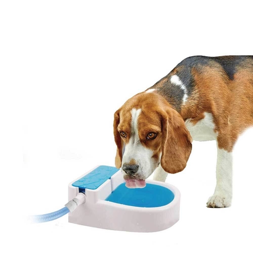 Automatic Outdoor Dog Water Fountain