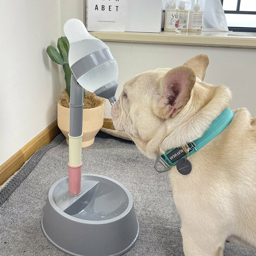 Adjustable Height Dog Water Dispenser